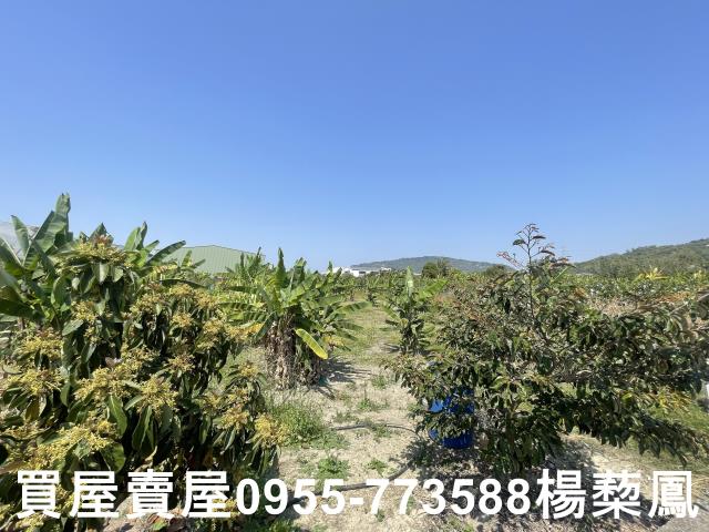 岡山農地-15