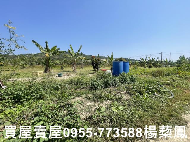 岡山農地-1