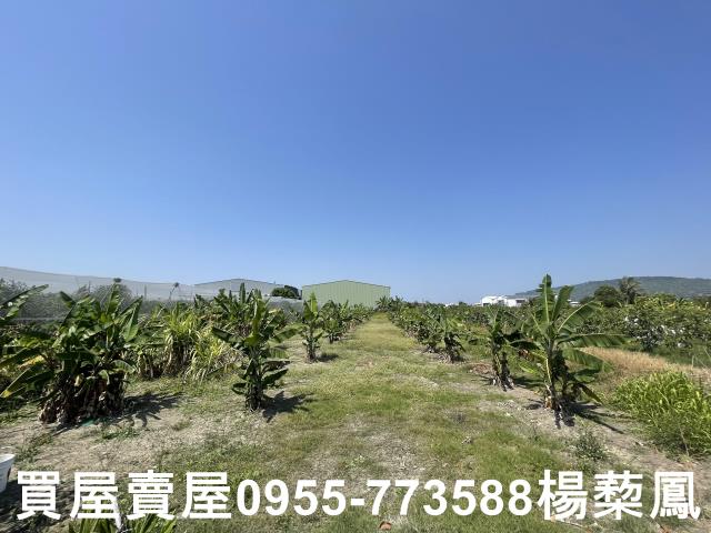 岡山農地-3