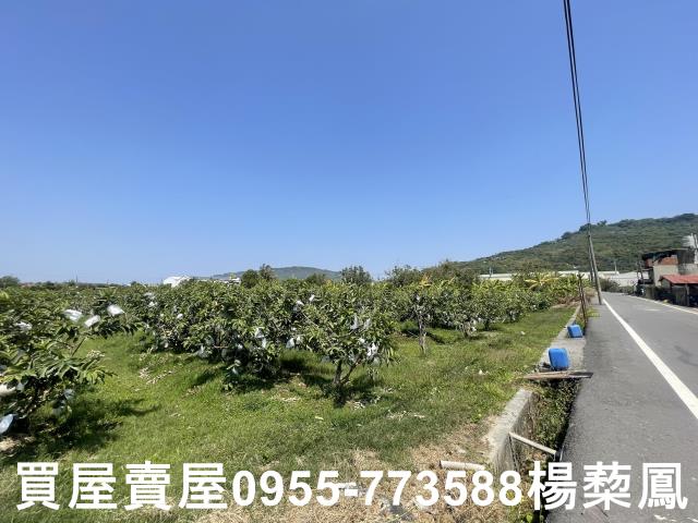 岡山農地-4