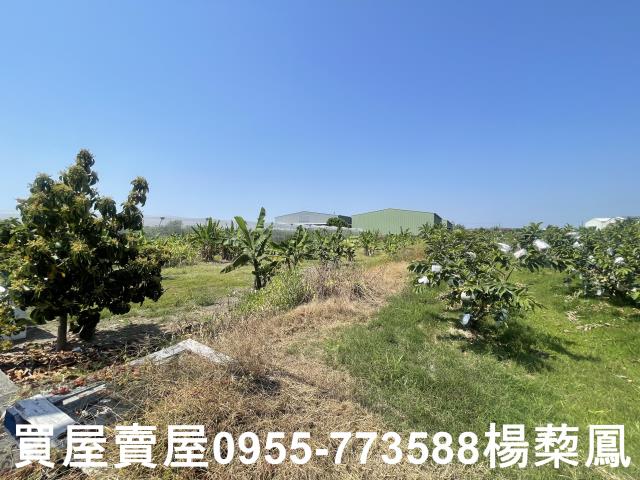 岡山農地-5