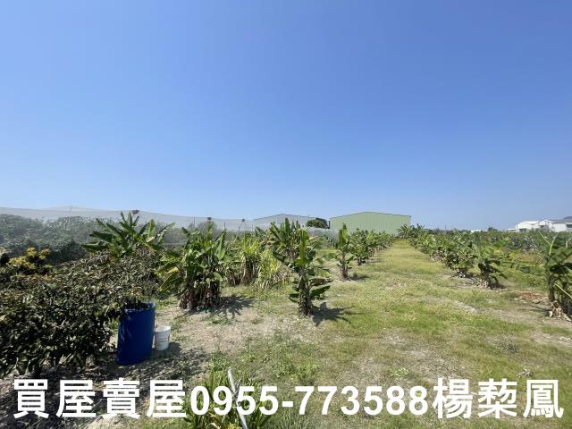 岡山農地-6