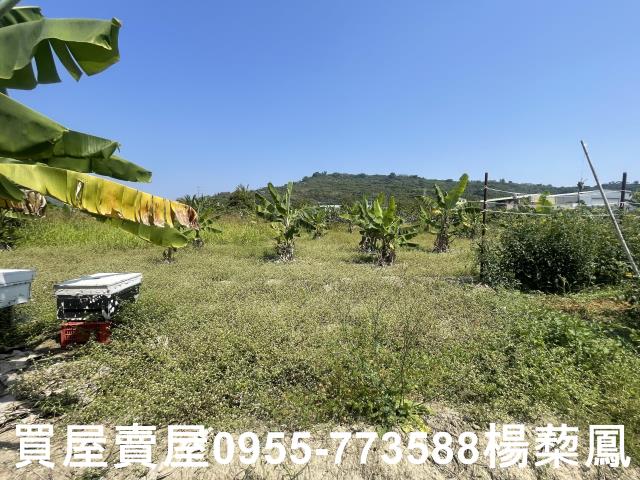 岡山農地-9