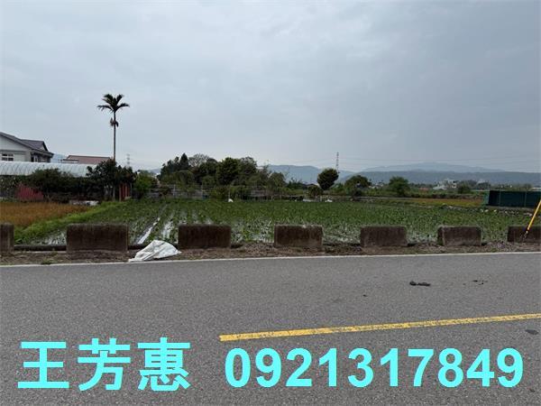 后里農地-11