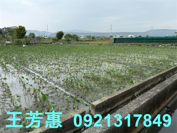 后里農地-6