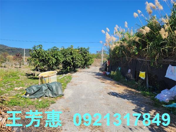苗栗農地-2