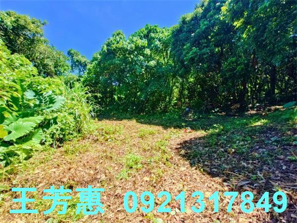 台中建地-10