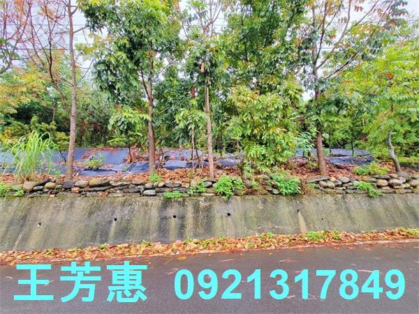 台中建地-3
