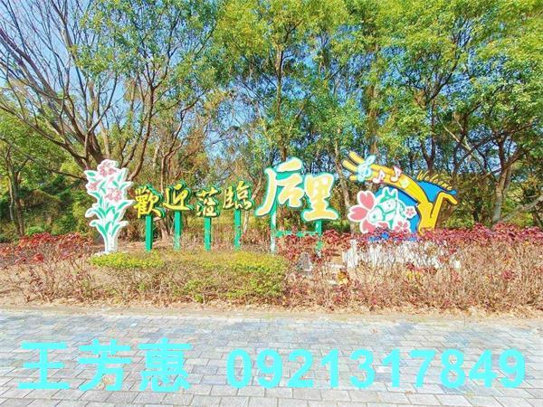 台中農地-3