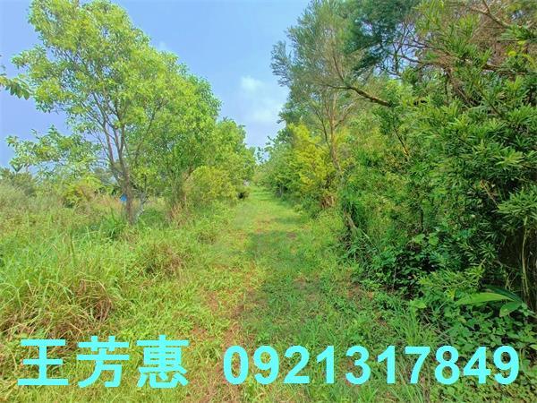 台中農地-4