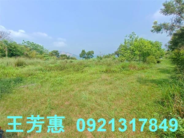 台中農地-5