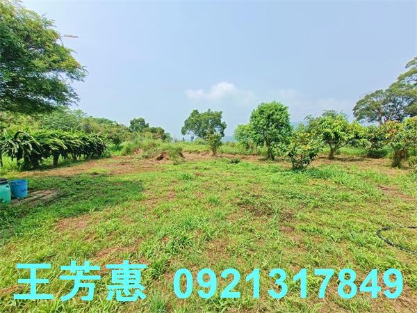 台中農地-9