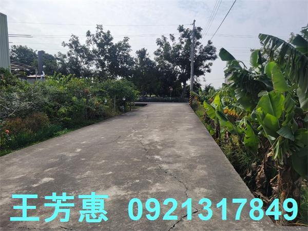 台中農地-1