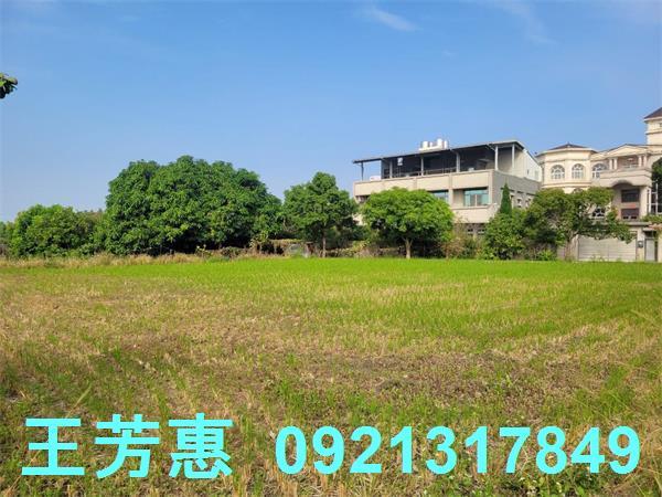 台中農地-2