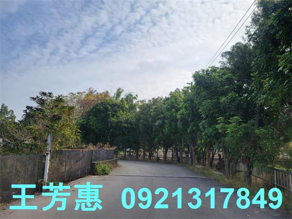 台中農地-5