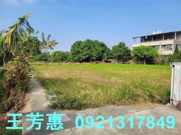 台中農地-6
