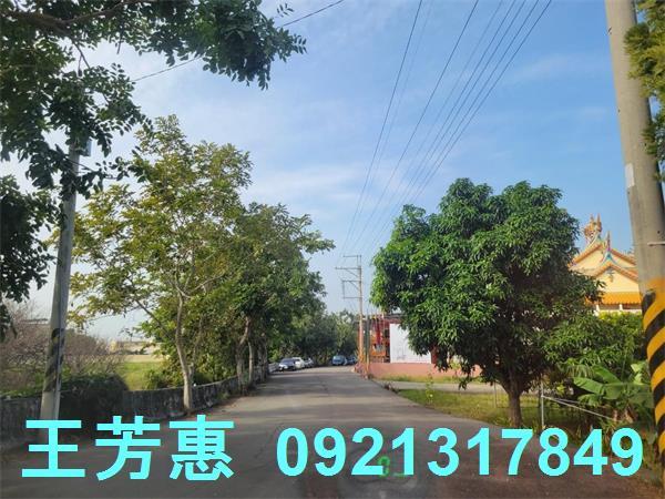 台中農地-8