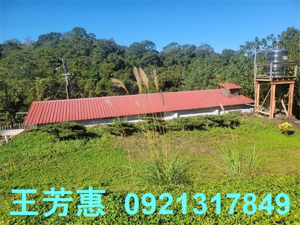 苗栗農地-1