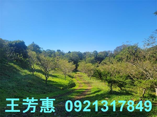 苗栗農地-4