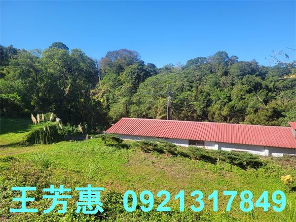 苗栗農地-5