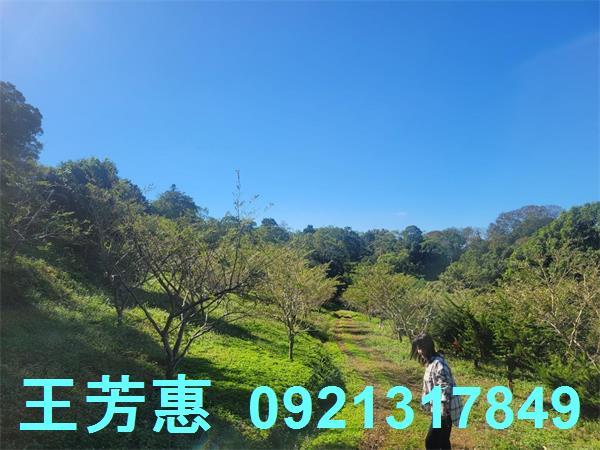 苗栗農地-7