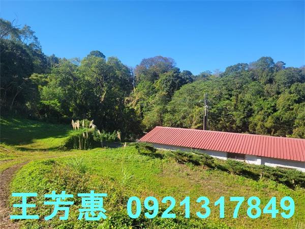 苗栗農地-8