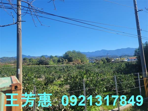 苗栗農地-1