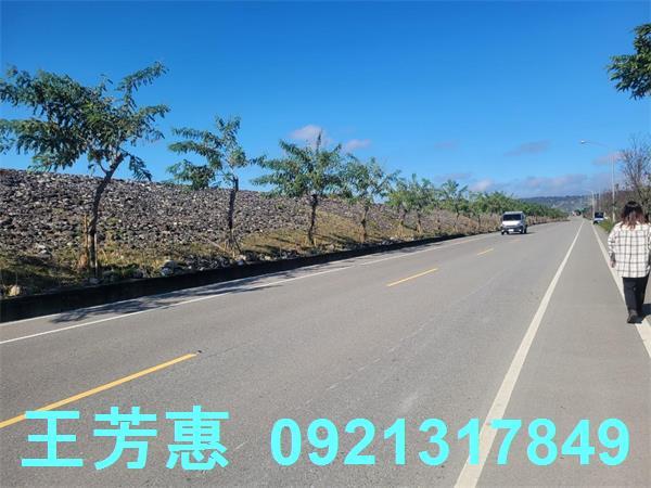 苗栗農地-4