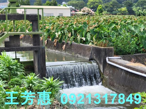 台中農地-4