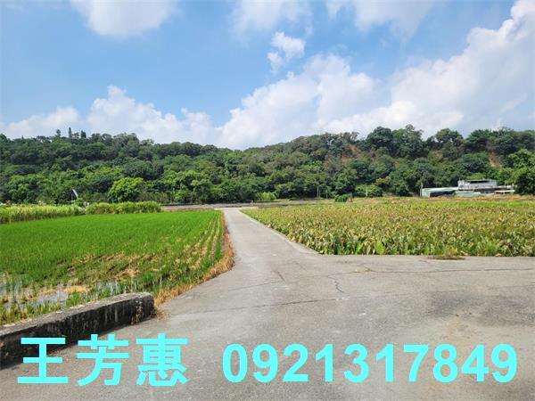 台中農地-5
