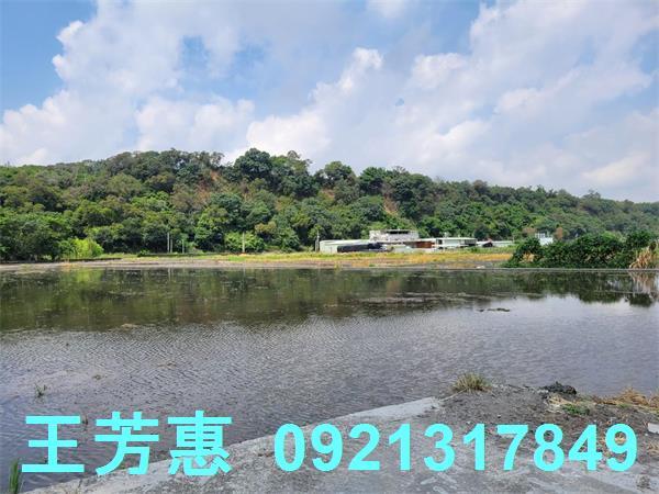台中農地-9