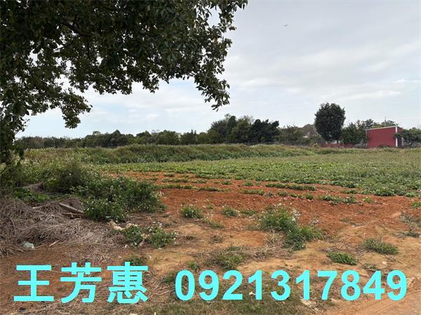 台中農地-2