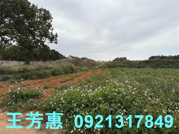 台中農地-3
