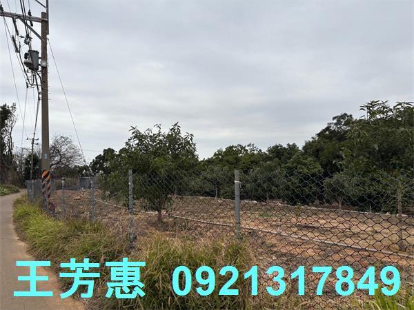 台中農地-6