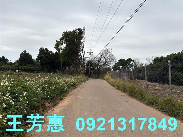 台中農地-9