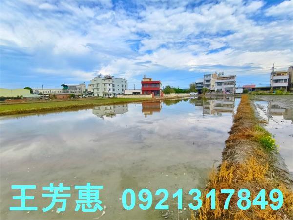 台中農地-8
