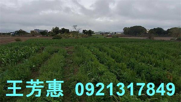 台中農地-11