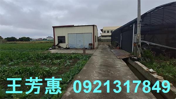 台中農地-13