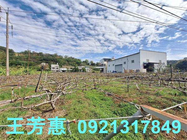 台中農地-2