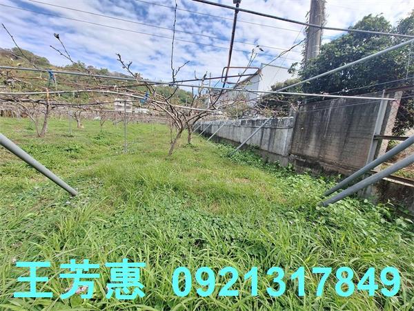 台中農地-8