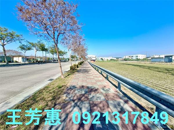 台中后里農地-7