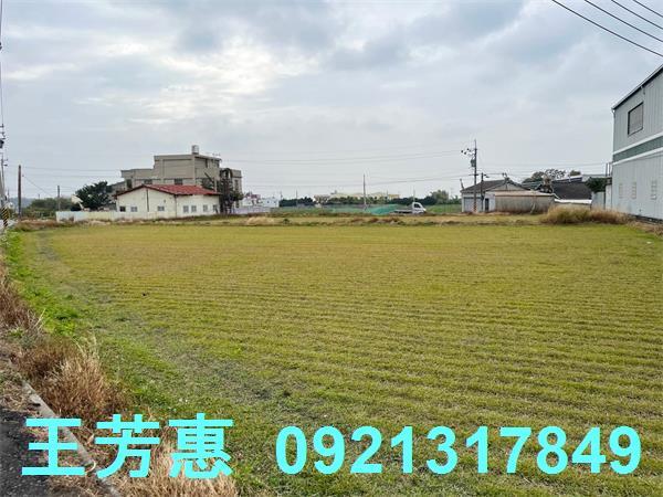 台中外埔農地-1