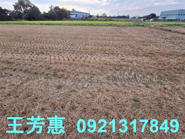 台中后里農地-4