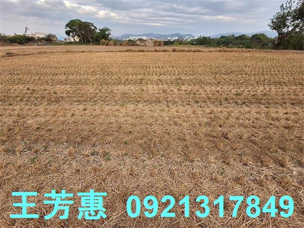 台中后里農地-5