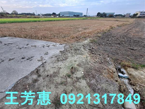 台中后里農地-6