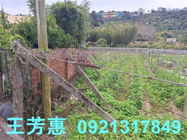 台中石岡農地-10