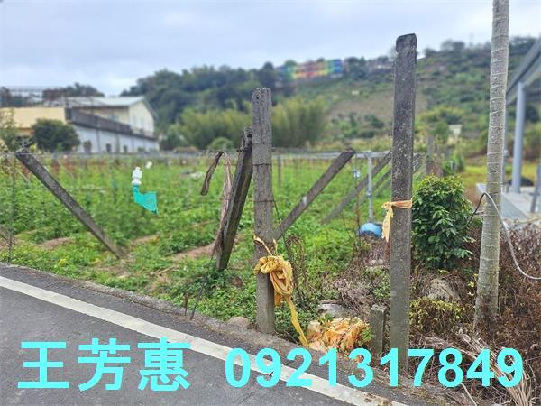 台中石岡農地-11