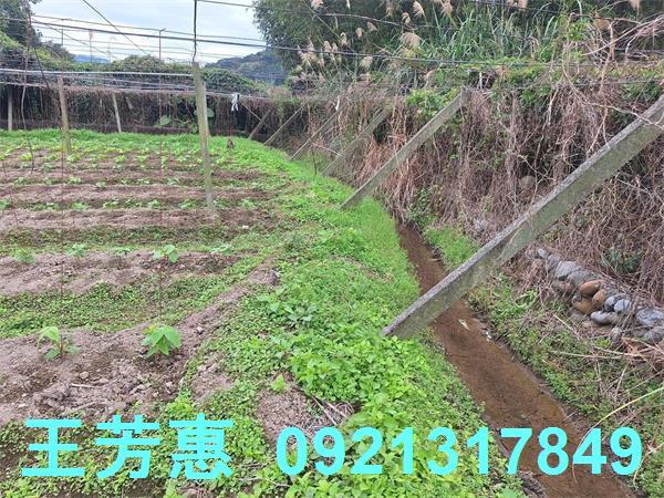 台中石岡農地-3