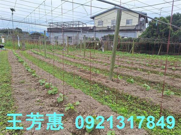 台中石岡農地-6