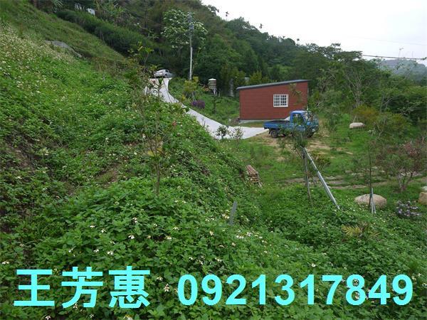 台中東勢農地-11